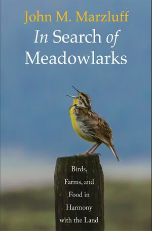 In Search of Meadowlarks : Birds, Farms, and Food in Harmony with the Land - John M. Marzluff