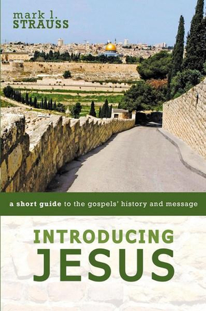 Introducing Jesus : A Short Guide To The Gospels' History And Message - Mark L. Strauss