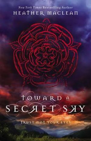 Toward a Secret Sky : Blink - Heather Maclean