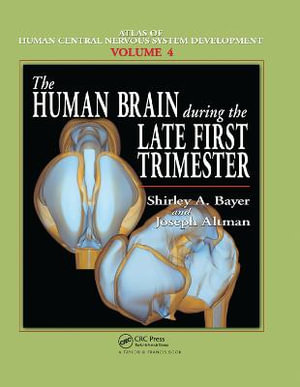 The Human Brain During the Late First Trimester - Shirley A. Bayer