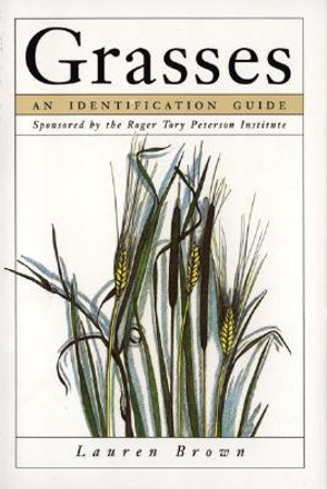 Grasses : An Identification Guide - Lauren Brown