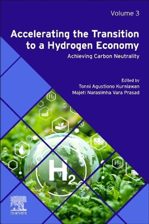 Accelerating the Transition to a Hydrogen Economy : Volume 3 Techno-Economic Feasibility - Tonni Agustiono Kurniawan