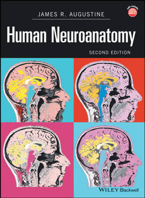 Human Neuroanatomy - James R. Augustine