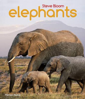 Elephants : A Book for Children - Steve Bloom