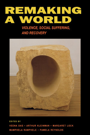 Remaking a World : Violence, Social Suffering, and Recovery - Veena Das