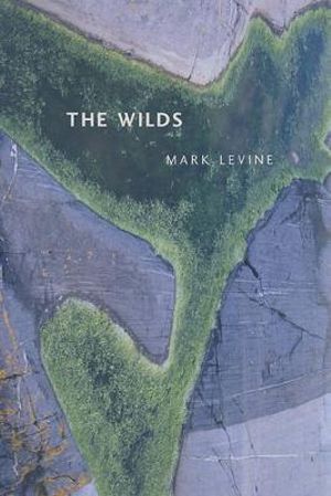 The Wilds : New California Poetry - Mark Levine