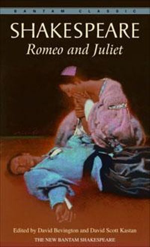 Romeo and Juliet : The Graphic Novel - William Shakespeare