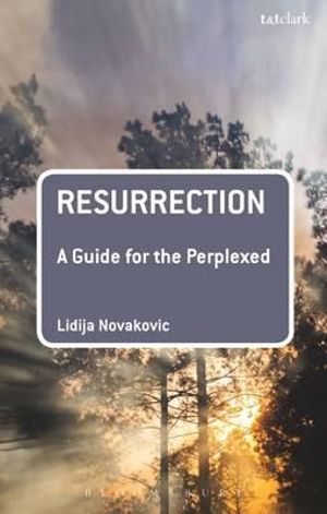 Resurrection : A Guide for the Perplexed - Lidija Novakovic