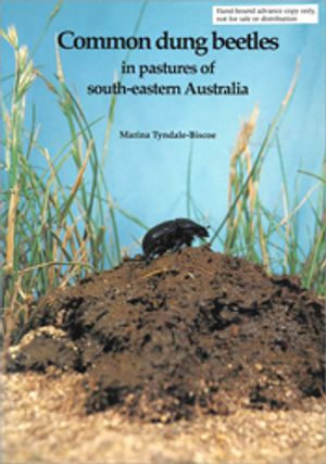 Common Dung Beetles in Pastures of South-eastern Australia - M Tyndale-Biscoe