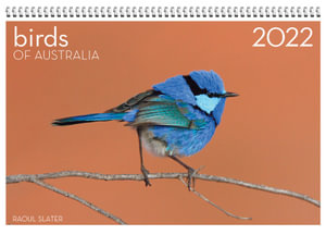 2022 Birds Of Australia Wall Calendar By Raoul Slater | 9780645096064 | Booktopia