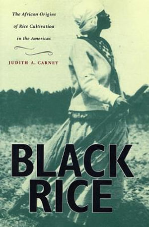 Black Rice : The African Origins of Rice Cultivation in the Americas - Judith A. Carney