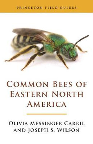 Common Bees of Eastern North America : Princeton Field Guides - Olivia Messinger Carril