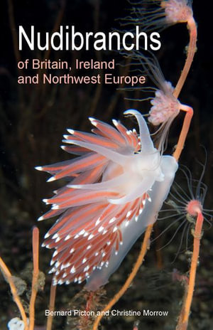 Nudibranchs of Britain, Ireland and Northwest Europe : Second Edition - Bernard Picton