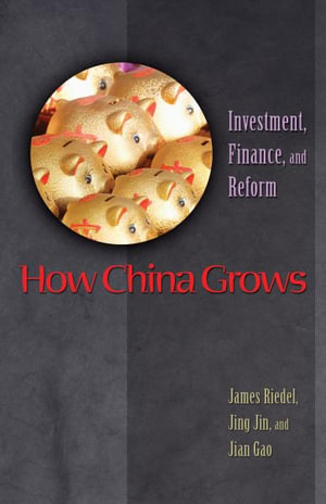 How China Grows : Investment, Finance, and Reform - James Riedel