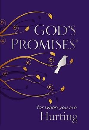 God's Promises for When You are Hurting - Jack Countryman