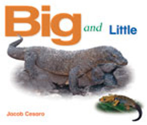 Rigby Literacy Emergent Level 4 : Big and Little (Reading Level 3/F&P Level C) - Jacob Cesaro