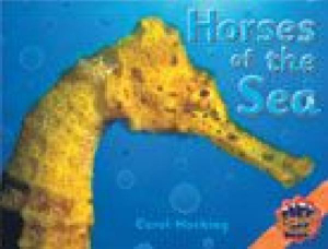 Rigby Literacy Collections Level 4 Phase 5 : Horses of the Sea (Reading Level 29-30/F&P Levels T-U) - Carol Hosking