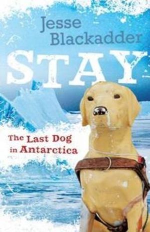 Stay : The Last Dog in Antarctica - Jesse Blackadder