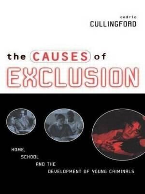 The Causes of Exclusion : Home, School and the Development of Young Criminals - Cedric Cullingford