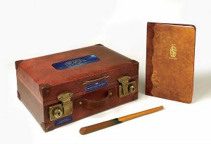 Magizoologist's Discovery Case : Fantastic Beasts : Rp Sets - Donald Lemke