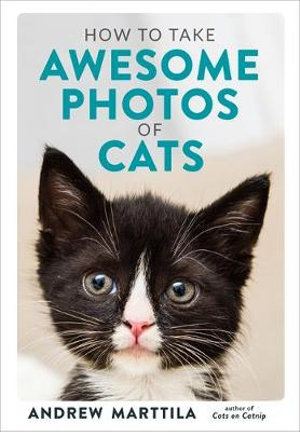 How to Take Awesome Photos of Cats - Andrew Marttila