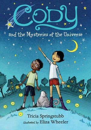 Cody and the Mysteries of the Universe : Cody - Tricia Springstubb