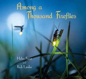 Among a Thousand Fireflies : Step Gently, Look Closely - Helen Frost