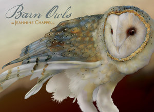 Barn Owls Boxed Notecards : 20 blank Notecards (5 each of 4 designs) with Envelopes - Jeannine Chappell