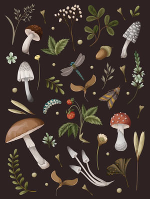 Journal (Mushroom Pattern) - Editors of Chartwell Books