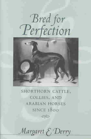 Bred for Perfection : Shorthorn Cattle, Collies, and Arabian Horses since 1800 - Margaret E. Derry