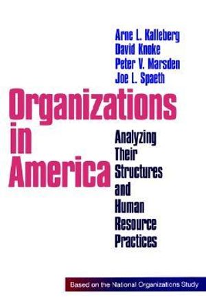 Organizations in America : Analysing Their Structures and Human Resource Practices - Arne L. Kalleberg