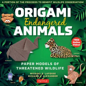 Japanese Origami Kit for Kids Ebook: 92 Colorful Folding Papers and 12  Original Origami Projects for Hours of Creative Fun! [Origami Book with 12  projects] by Michael G. LaFosse, eBook