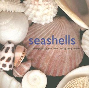 Seashells - Josie Iselin