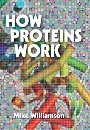 How Proteins Work : 1st Edition - Mike Williamson