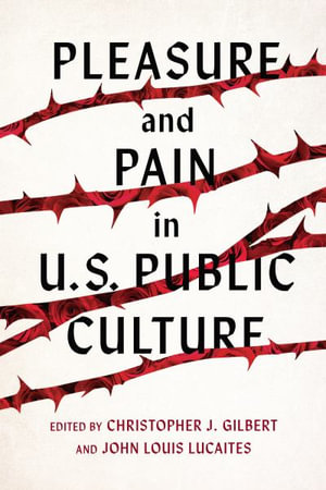 Pleasure and Pain in Us Public Culture : Rhetoric, Culture, and Social Critique - Christopher J. Gilbert