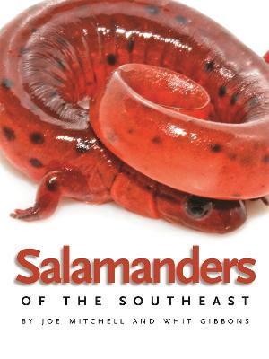 Salamanders of the Southeast : Wormsloe Foundation Nature Books - Joe Mitchell