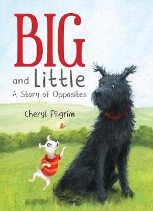 Big and Little : A Story of Opposites - CHERYL PILGRIM