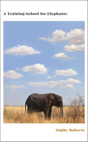 A Training School for Elephants - Sophy Roberts