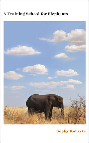 A Training School for Elephants - Sophy Roberts