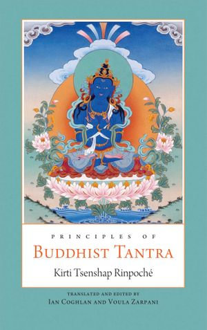 Principles of Buddhist Tantra : A Commentary on Ch??je Ngawang Palden's Illumination of the Tantric Tradition : the Principles of the Grounds and Paths of the Four Great Secret Classes of Tantra - Kirti Tsenshap Rinpoche