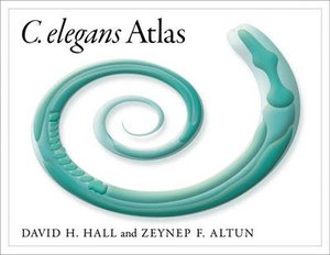 C. Elegans Atlas - David Hall