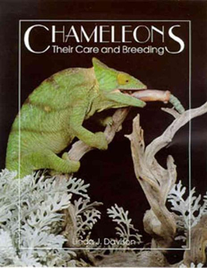 Chameleons : Their Care & Breeding - Linda J. Davison