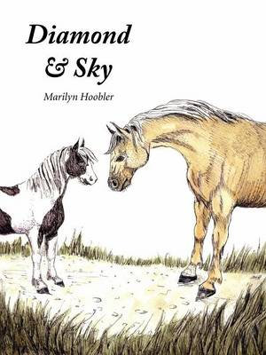 Diamond & Sky - Marilyn E Hoobler