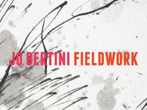 Jo Bertini Fieldwork - Jo Bertini