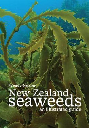 New Zealand Seaweeds : An Illustrated Guide - Wendy Nelson