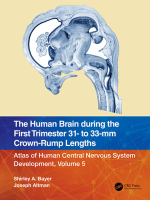 The Human Brain during the First Trimester 31- to 33-mm Crown-Rump Lengths : Atlas of Human Central Nervous System Development, Volume 5 - Shirley A. Bayer
