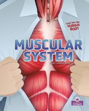 Muscular System : Look into the Human Body - Tracy Vonder Brink