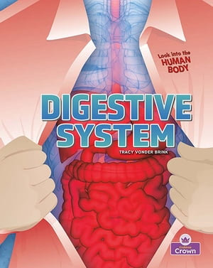 Digestive System : Look into the Human Body - Tracy Vonder Brink