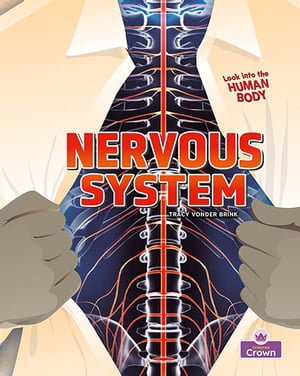 Nervous System : Look into the Human Body - Tracy Vonder Brink