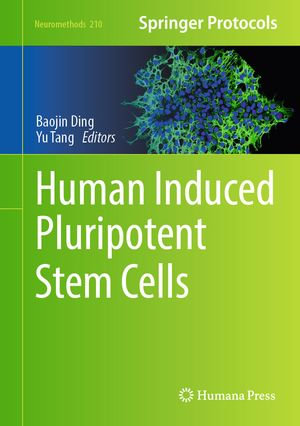 Human Induced Pluripotent Stem Cells : Neuromethods : Book 210 - Baojin Ding